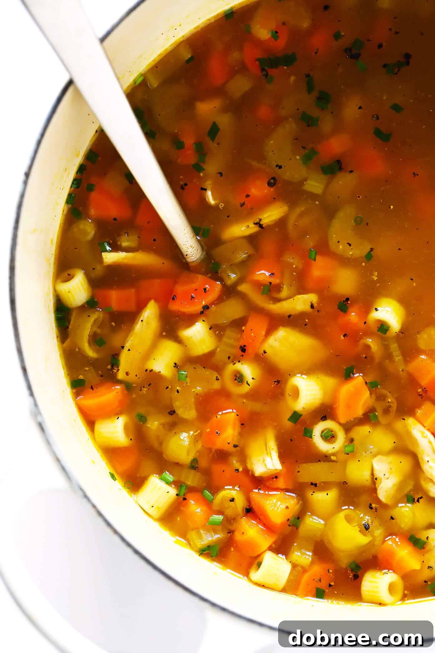 Pepperoncini Chicken Noodle Soup with fresh herbs