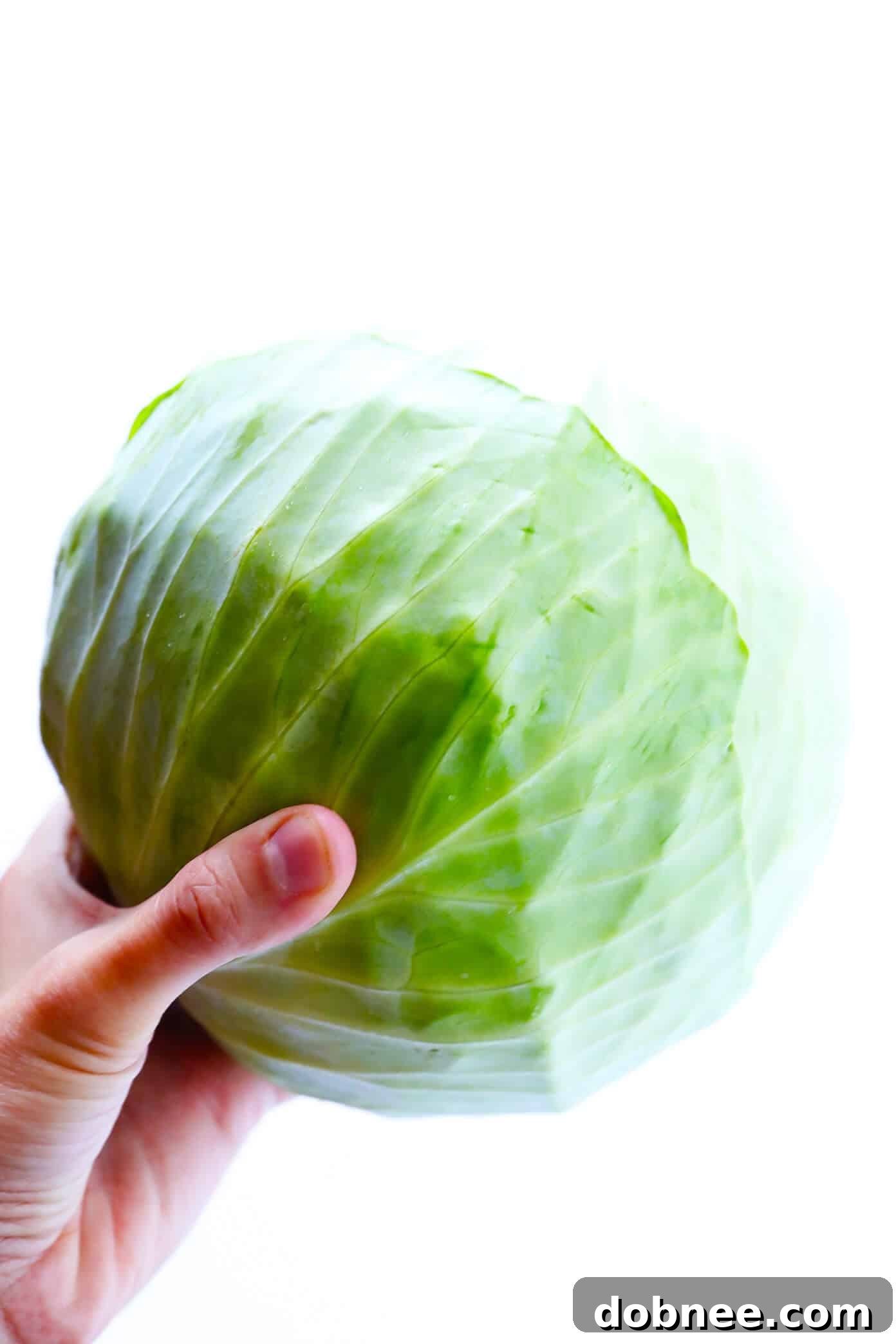 Fresh green cabbage ready for a healthy beef stir-fry recipe