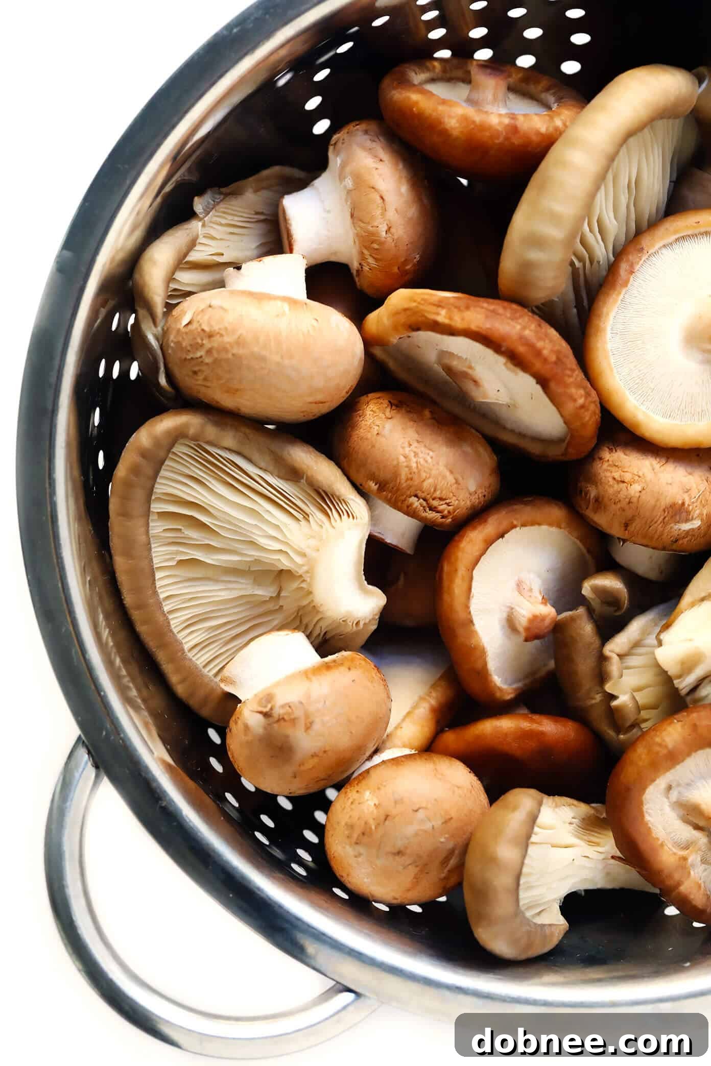 Fresh Mushrooms for Pasta: Baby Bella, Shiitake, Oyster Assortment of fresh Baby Bella, Shiitake, and Oyster Mushrooms