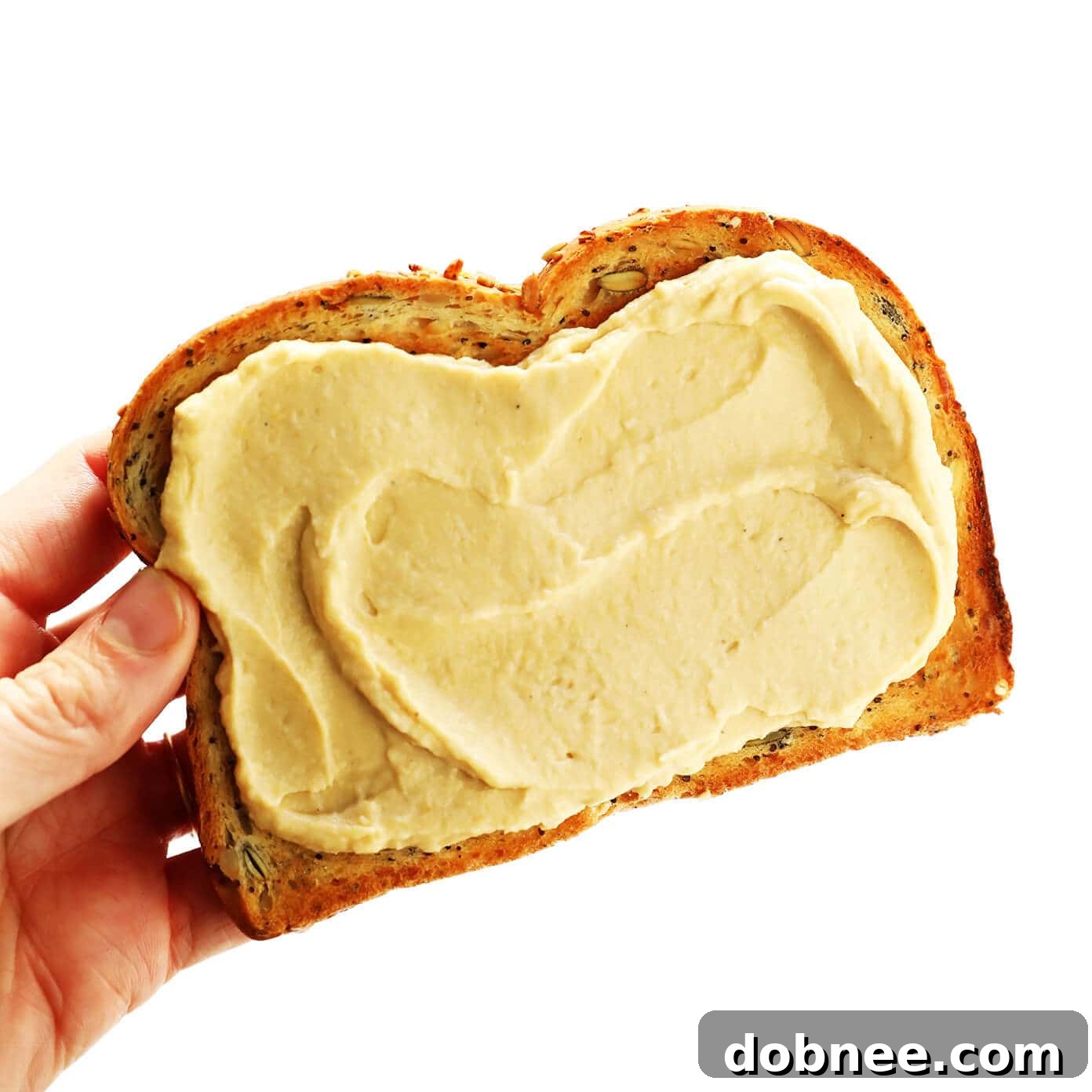 Variety of Hummus Toast Recipes