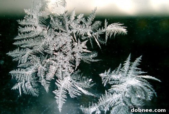 A serene winter landscape, evoking the peaceful end of the holiday season.