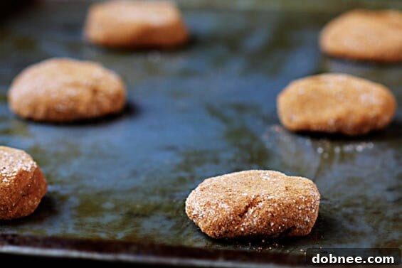 A hand holding a freshly baked Appledoodle, showcasing its soft interior, visible apple pieces, and golden-brown exterior.