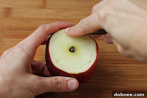 A top-down view of an apple cider cup, beautifully garnished, next to other fall decor.