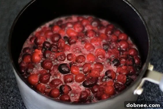 A close-up shot of the finished Cranberry-Pomegranate Sauce in a beautiful glass bowl, ready to be served.