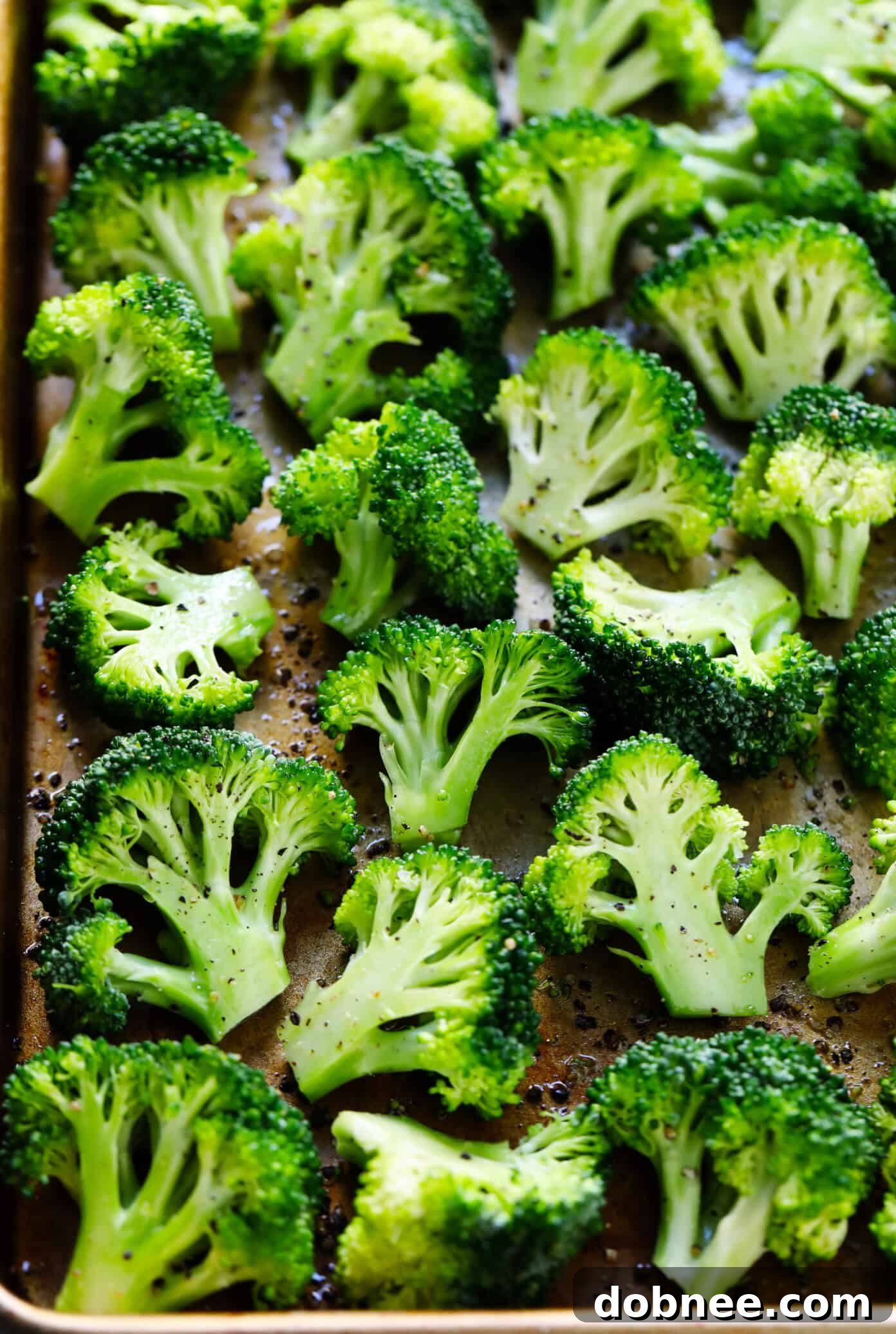 Raw Broccoli Florets Ready for Roasting
