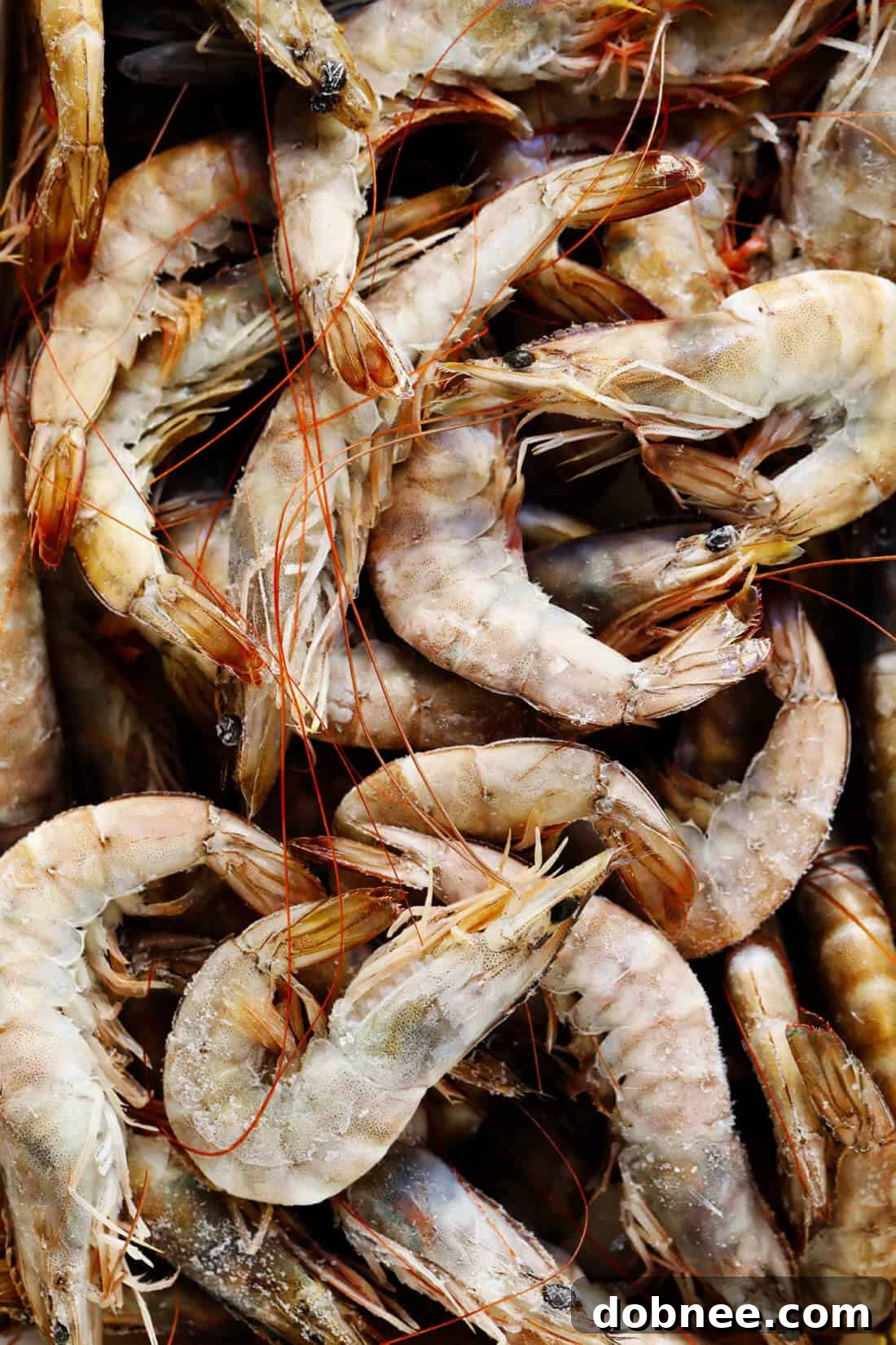 Spanish Gambas (Shrimp)
