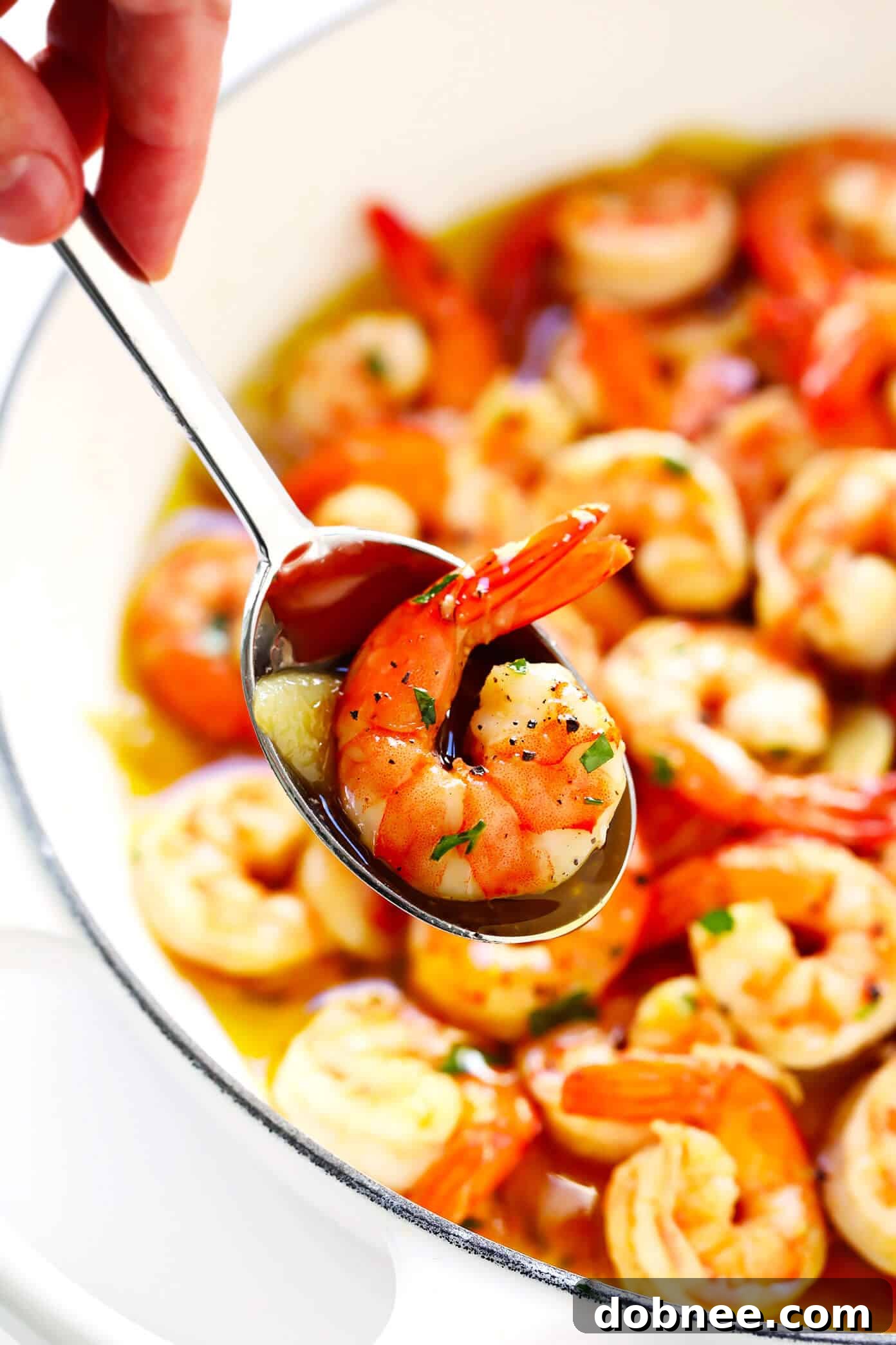 Garlic Shrimp Scampi Recipe