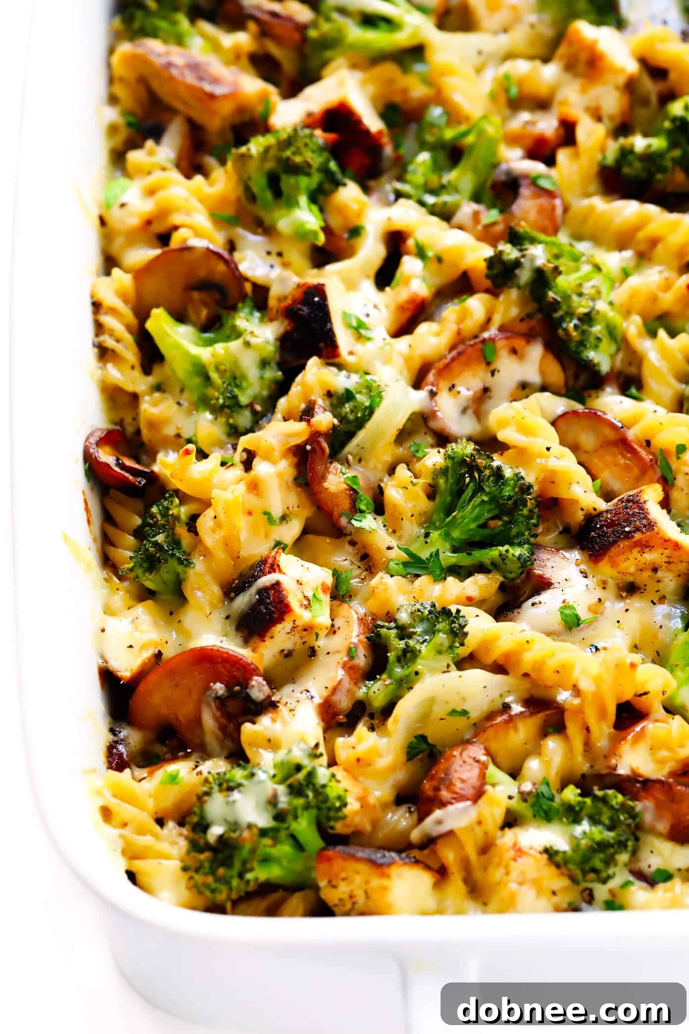 Chicken and Broccoli Casserole Recipe with pasta and creamy sauce