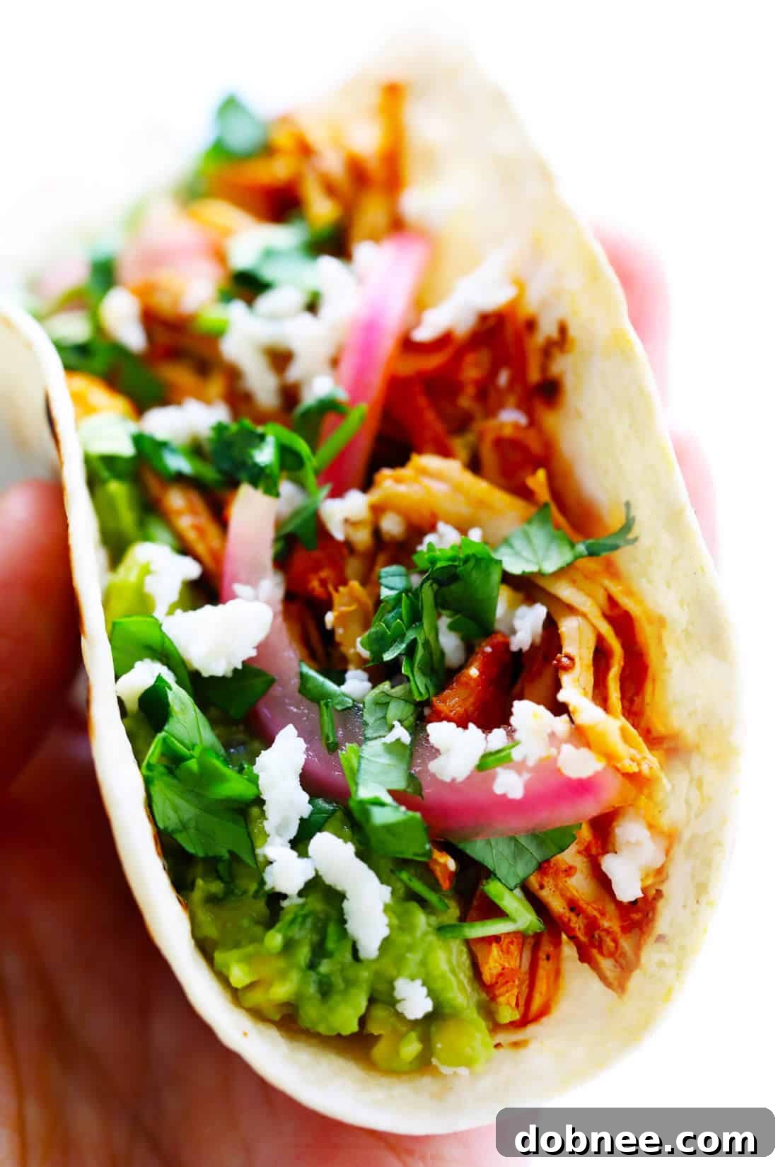 Cochinita Pibil Tacos Recipe