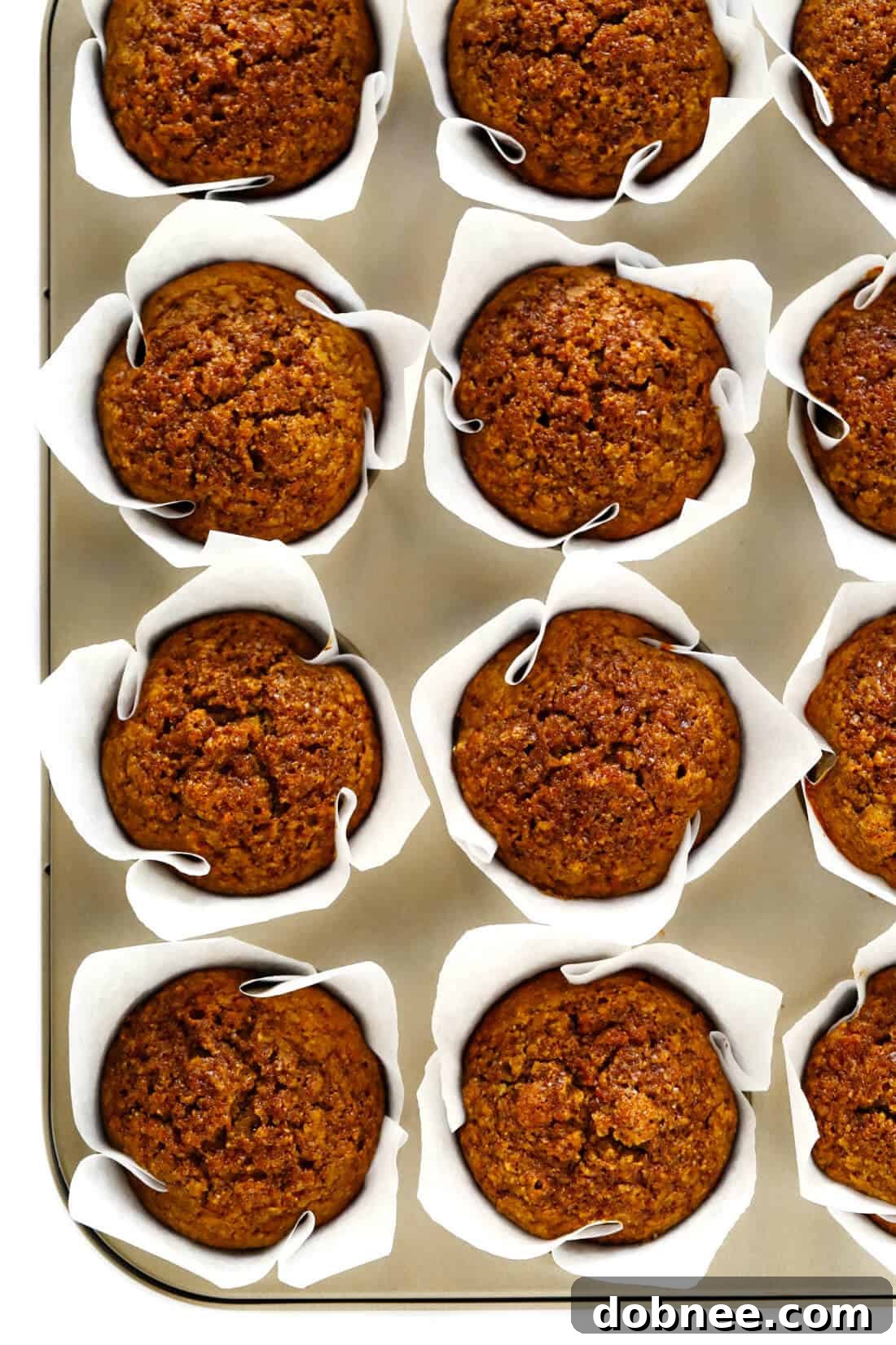 Healthy Butternut Squash Muffins