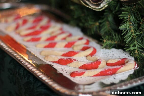 A stunning collection of diverse, homemade cookies displayed on a table, showcasing the incredible variety and baking talent at the Kansas City Food Bloggers' Cookie Exchange.