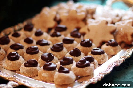 An irresistible close-up of a diverse assortment of cookies, highlighting the intricate details and tempting textures, ready to be sampled at the Kansas City Food Bloggers' Cookie Exchange.
