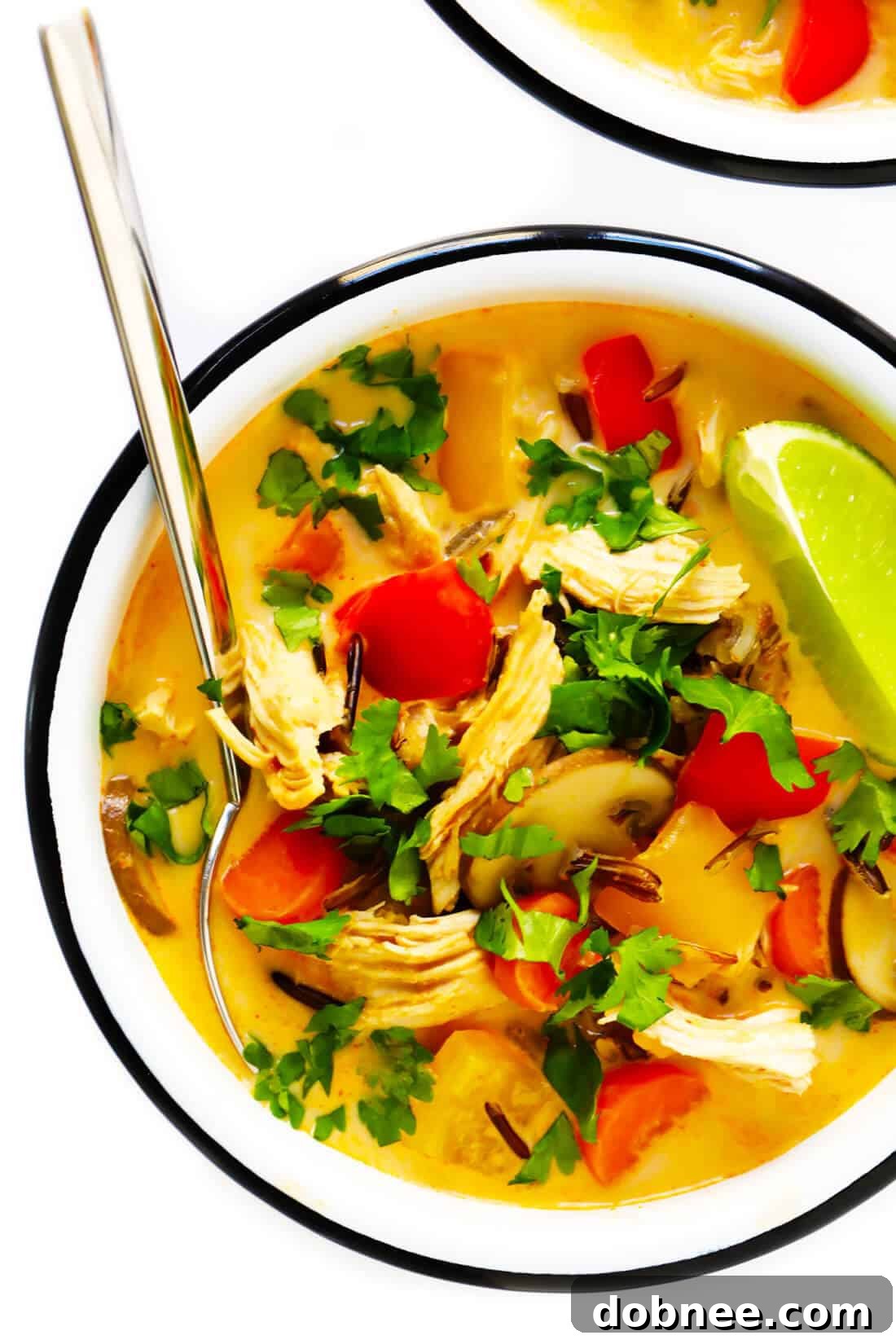 Thai Red Curry Chicken Wild Rice Soup