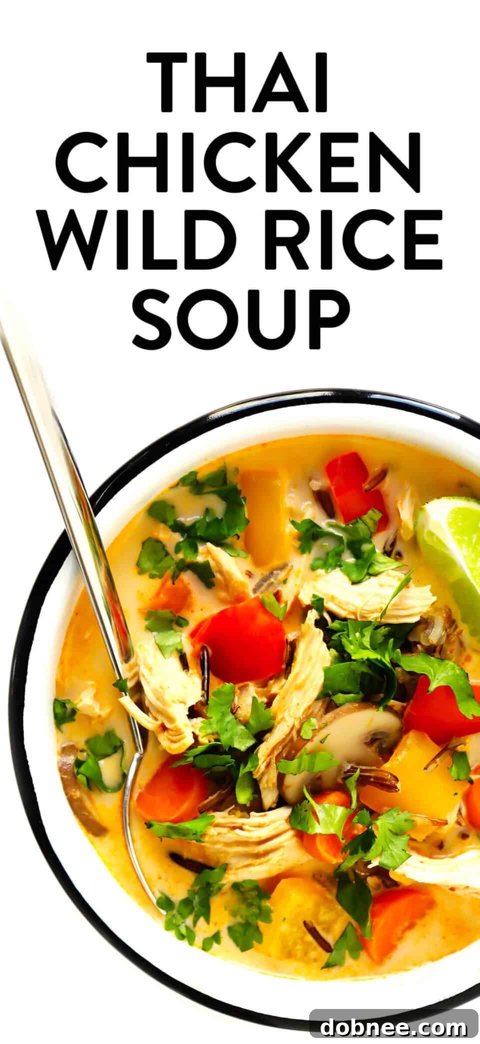 Thai Chicken and Rice Soup Recipe