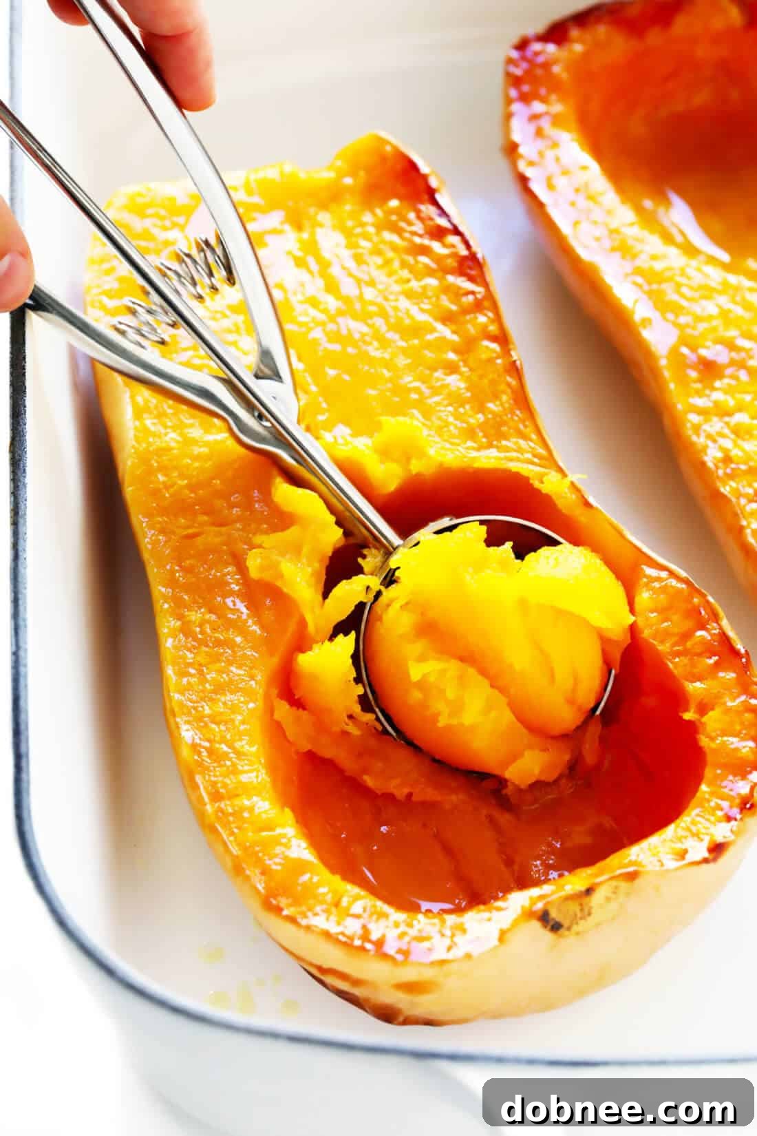 Tender Roasted Butternut Squash Halves, Ready to Serve