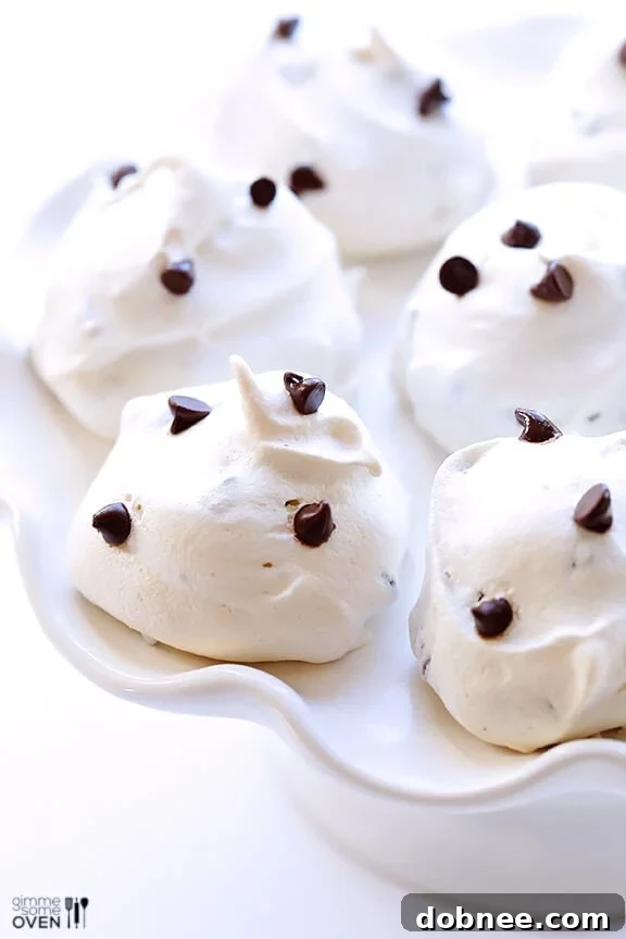 An older, slightly less polished photograph of chocolate chip meringue cookies, representing the 'before' stage of recipe evolution.
