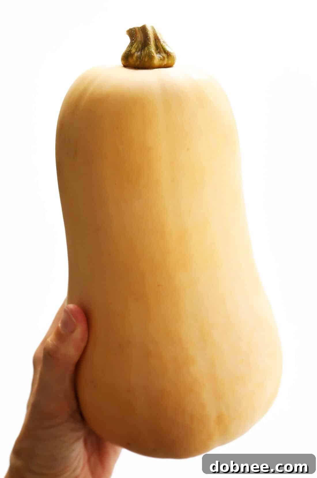 Healthy Butternut Squash Macaroni and Cheese