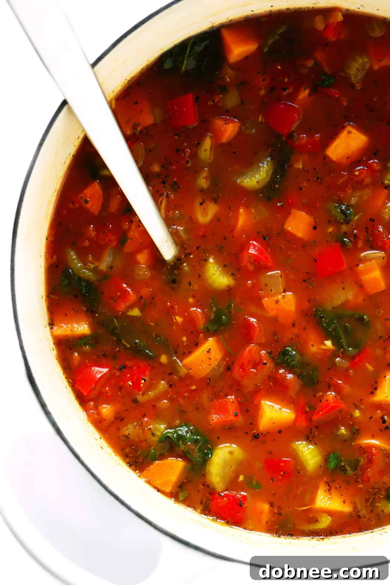 Simple and Delicious Vegetable Soup