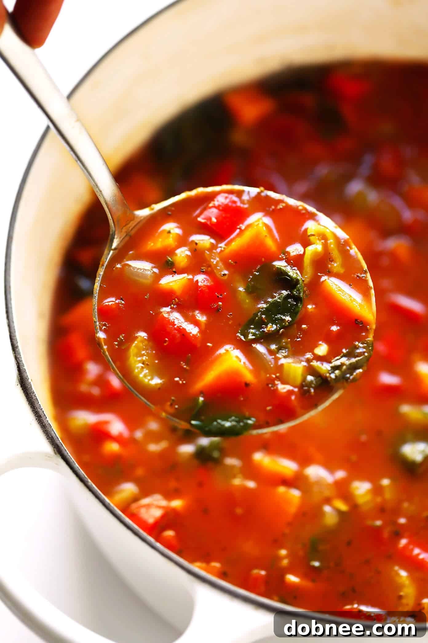 Vegetable Soup with Fresh Herbs