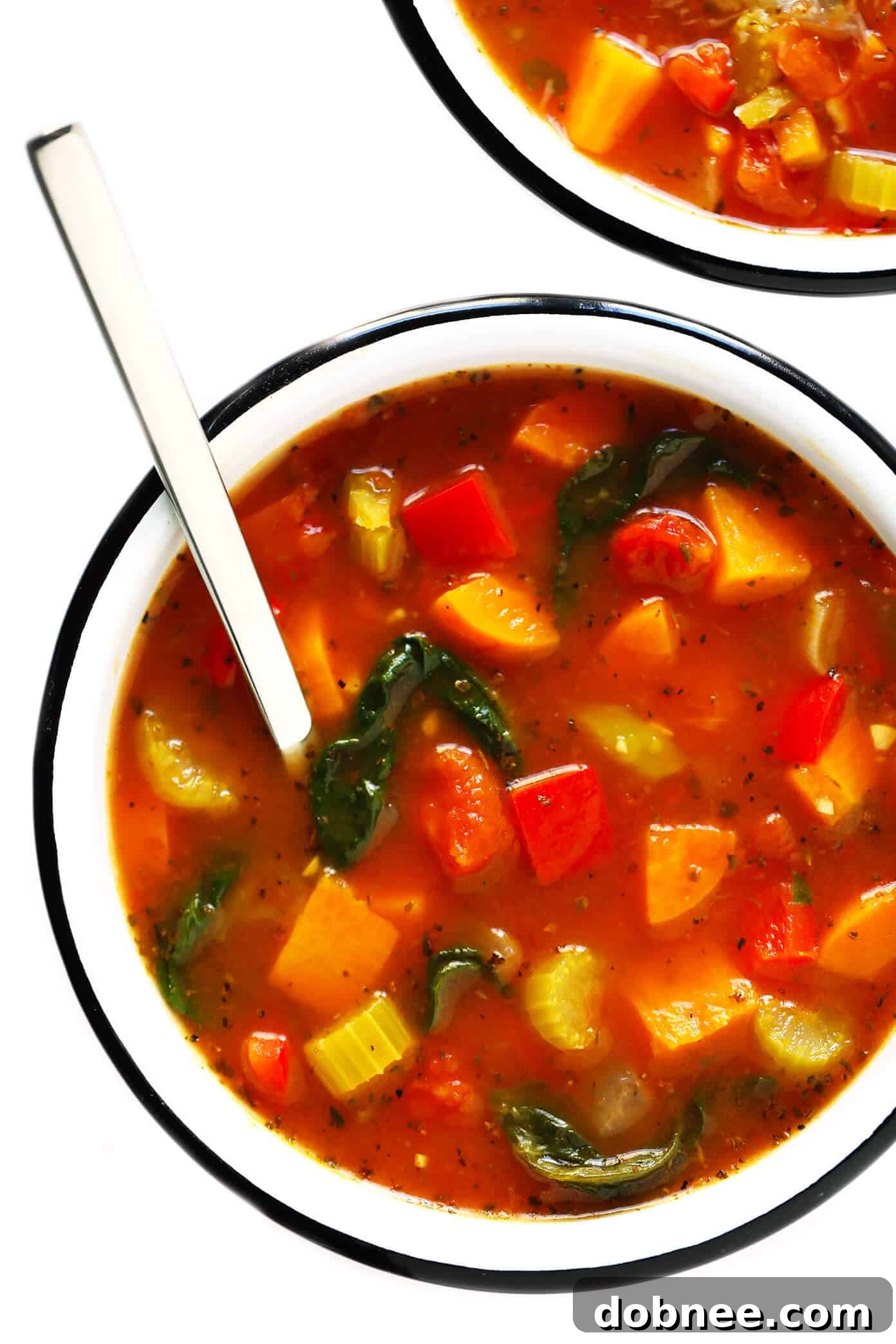 Healthy and Wholesome Vegetable Soup