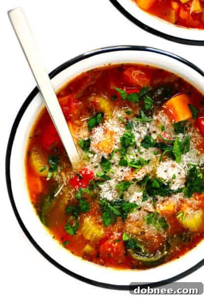 Vegetable Soup