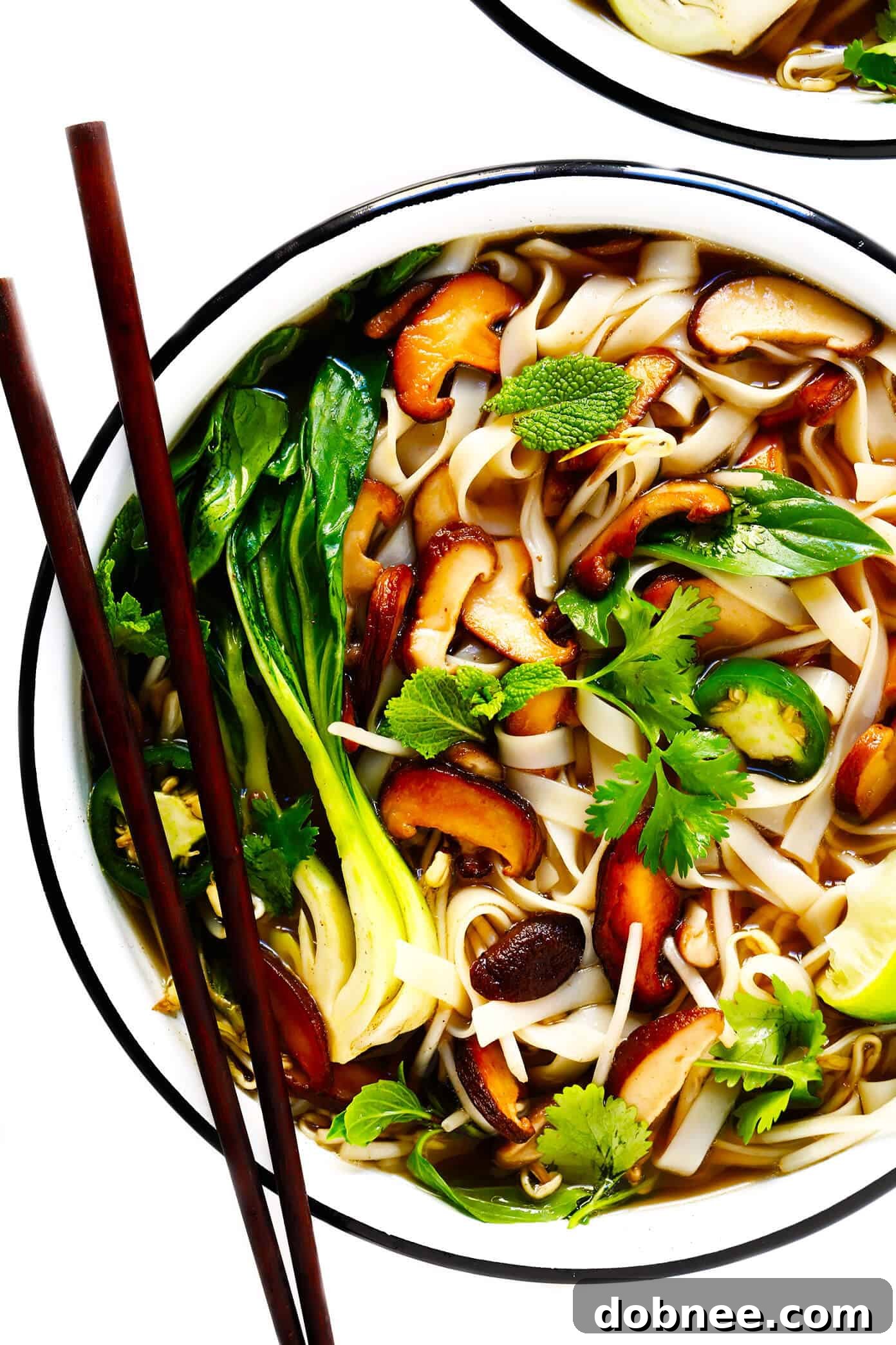 Vegetarian Pho Recipe
