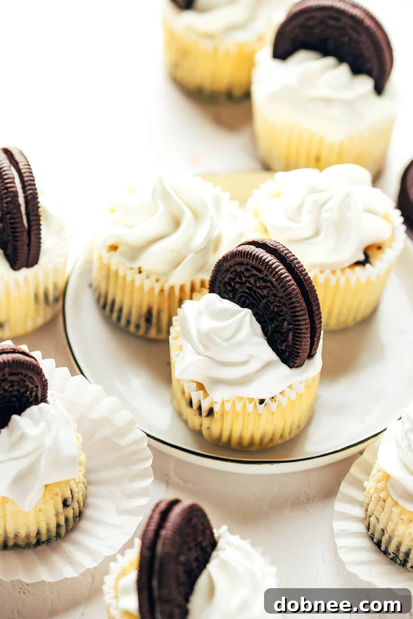 Mini Oreo Cheesecakes, perfectly baked and ready for garnish.