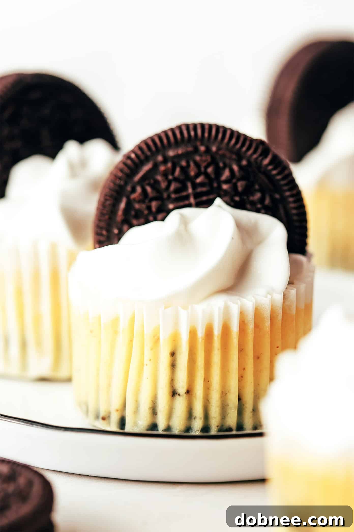 Close-up of a Mini Oreo Cheesecake with whipped cream and an Oreo garnish
