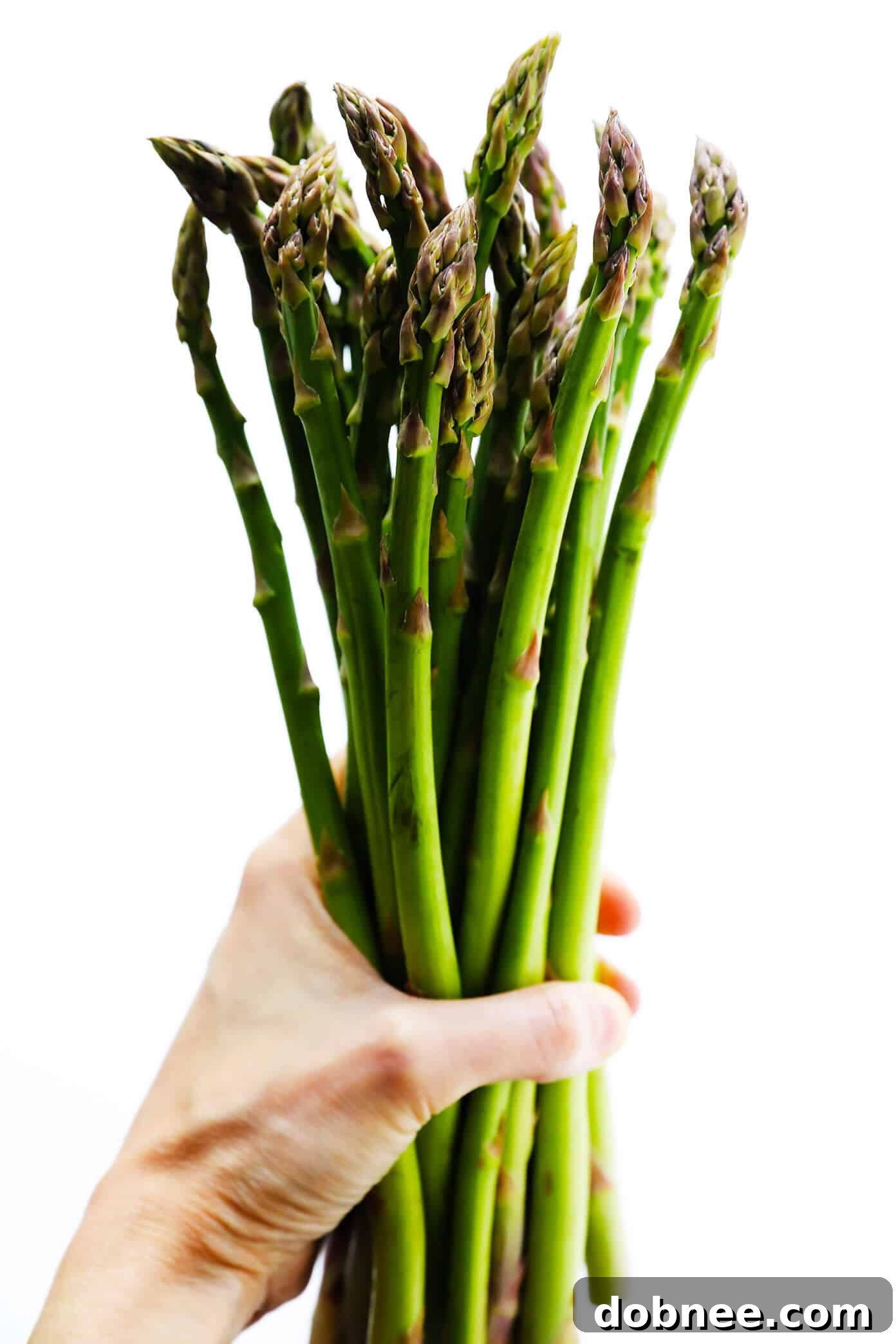 Close-up of fresh, vibrant green asparagus spears arranged neatly, highlighting their plump stalks and tightly closed tips, ready for preparation.
