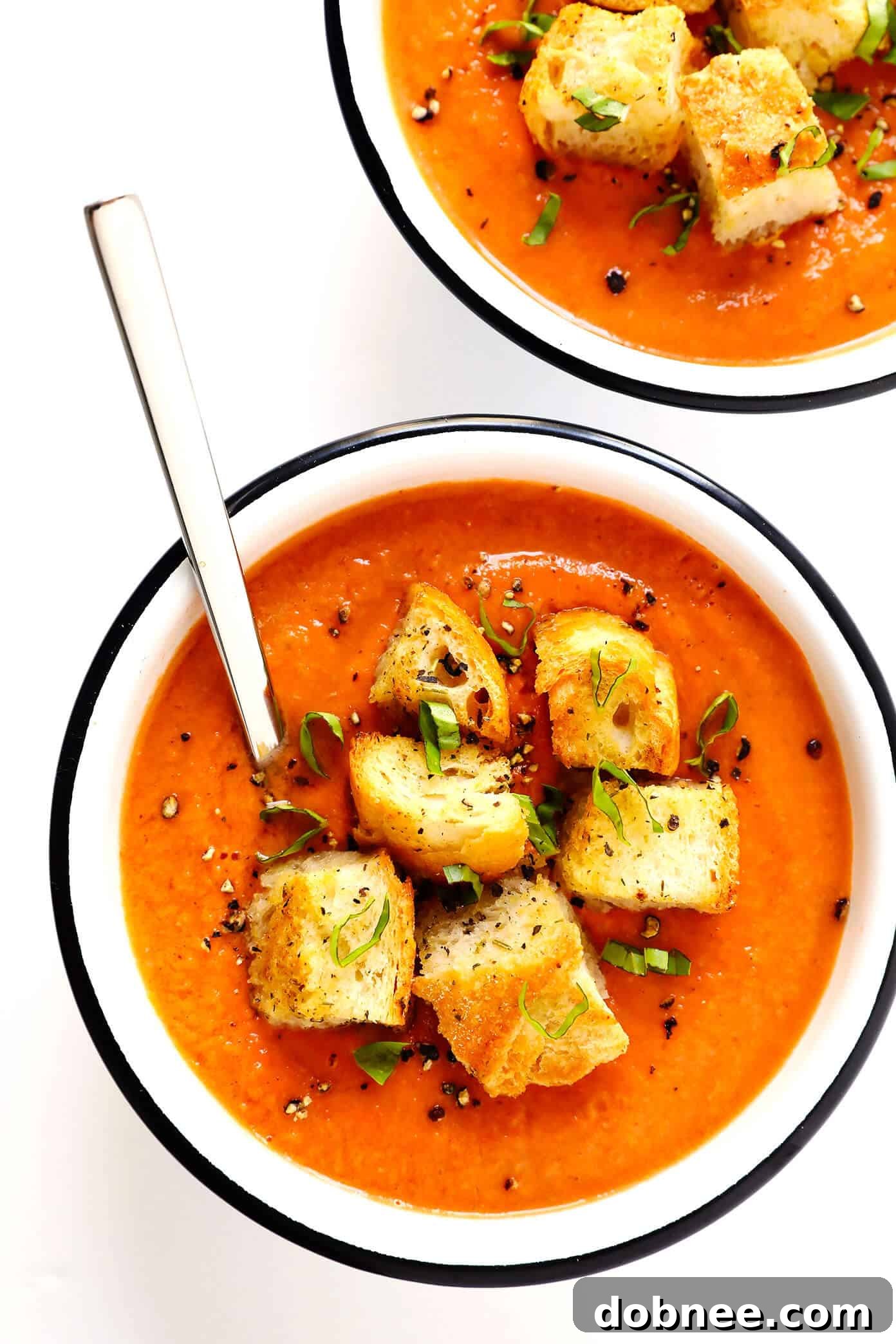 Authentic Gazpacho with Homemade Croutons - A vibrant bowl of gazpacho garnished with fresh herbs and a generous serving of crispy homemade croutons.