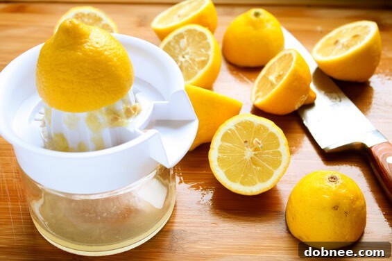 Squeezing Fresh Lemons for Watermelon Lemonade