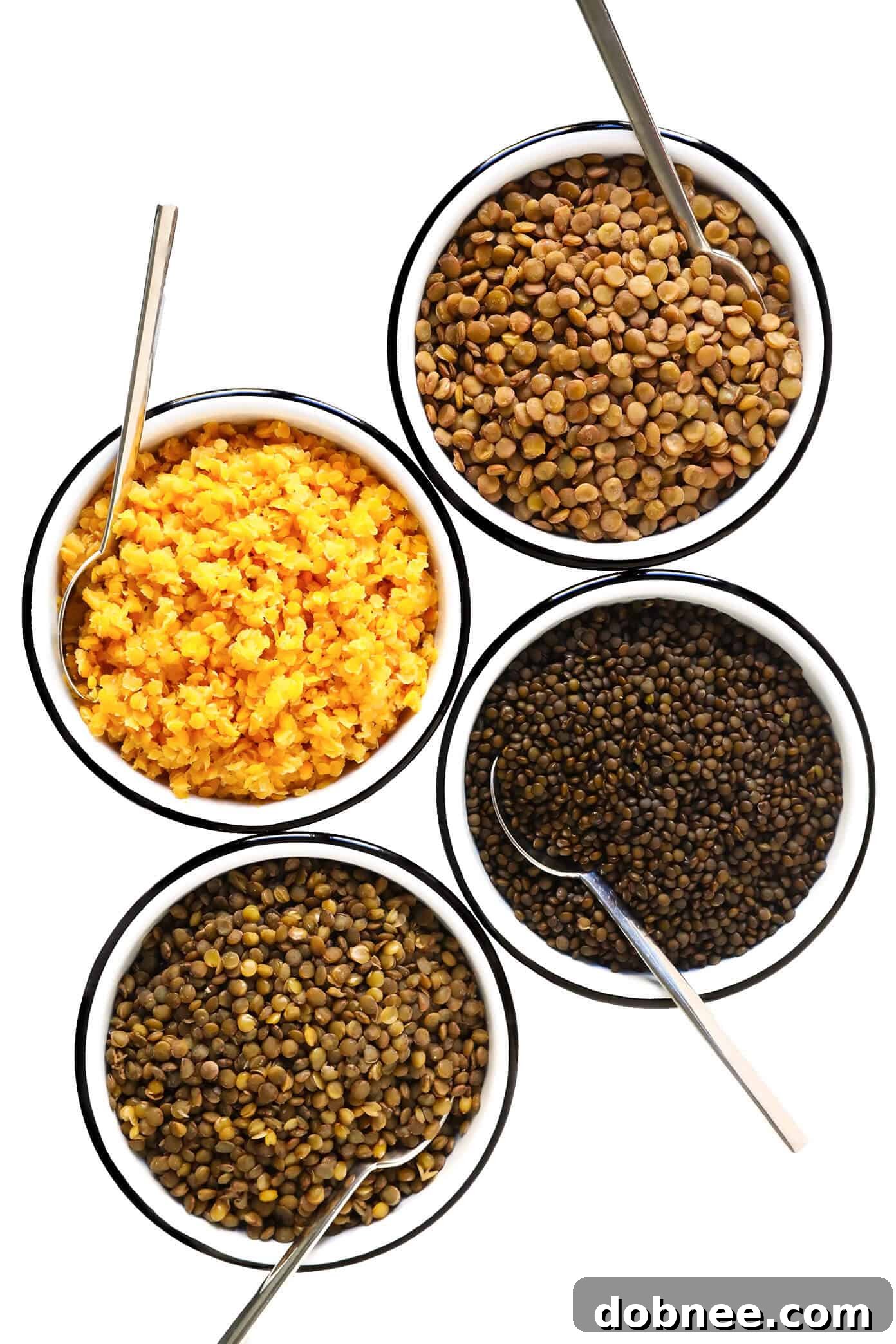How To Cook Lentils (Red, Black, Brown, Green, or French Lentils) - A complete guide to cooking various types of lentils