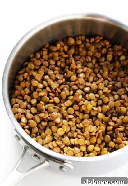How To Cook Lentils (Red, Black, Brown, Green or French Lentils)