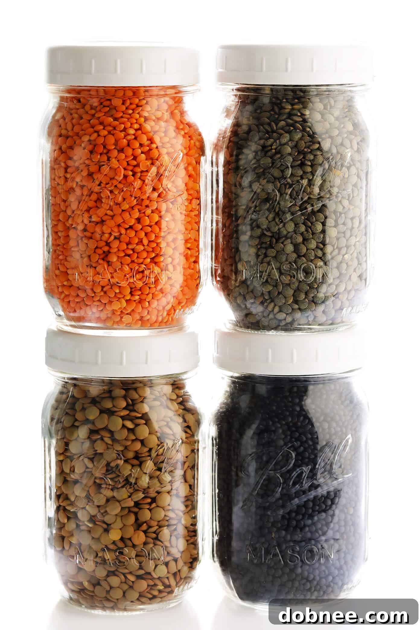 Different Types Of Lentils (Red Lentils, French Lentils, Brown Lentils, Black Lentils) - Visual guide