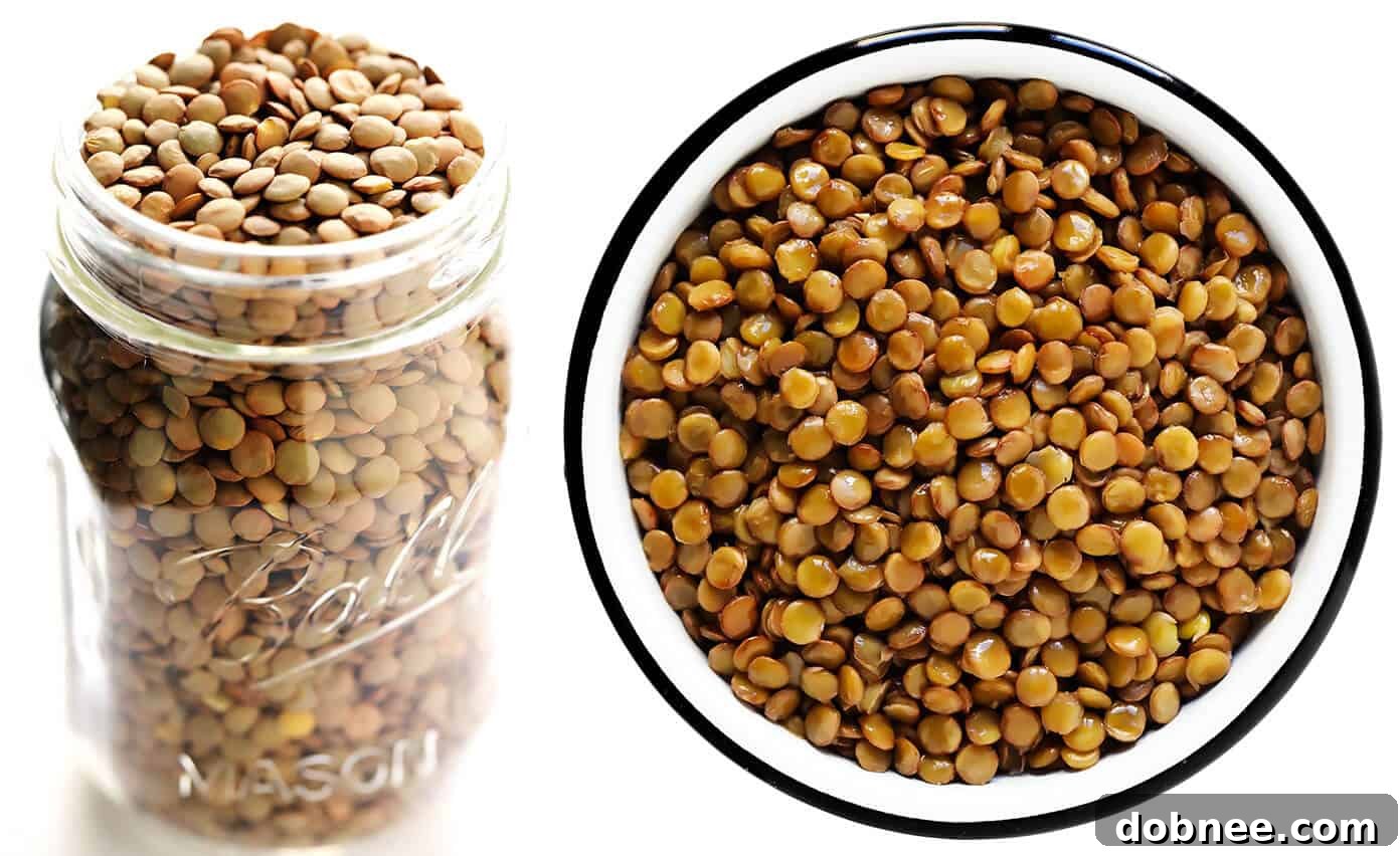 How To Cook Brown Green Lentils (Raw and Cooked) - Illustrating texture and color