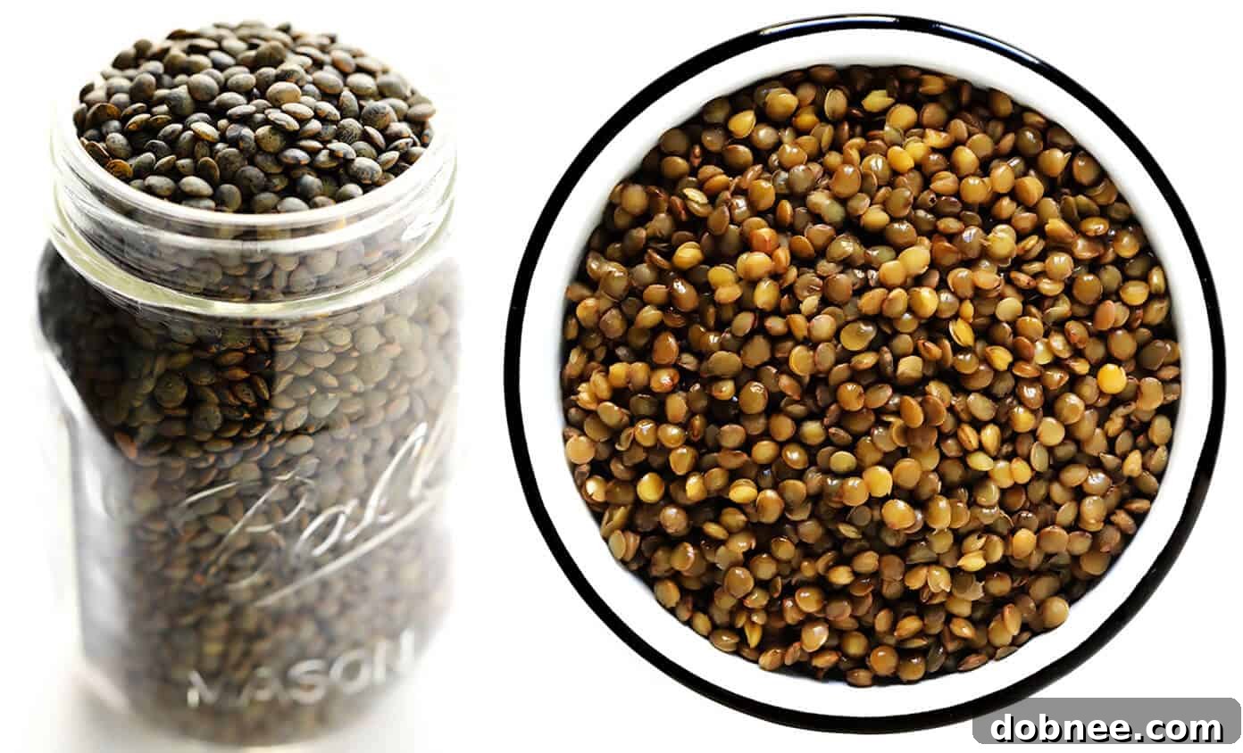 How To Cook French Lentils (Lentils de Puy) - Showing firm texture