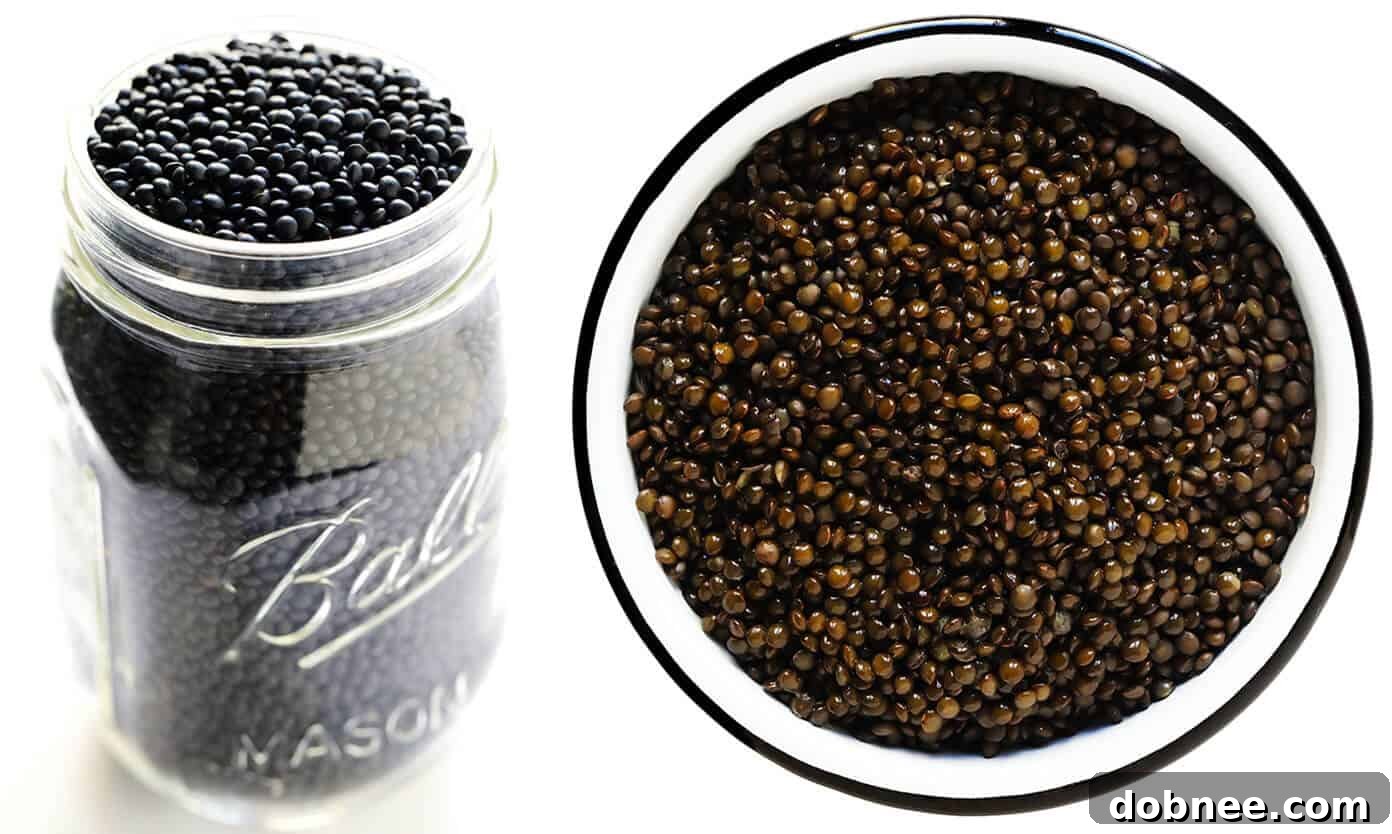 How To Cook Black Lentils (Beluga Lentils) - Highlighting shiny, whole appearance
