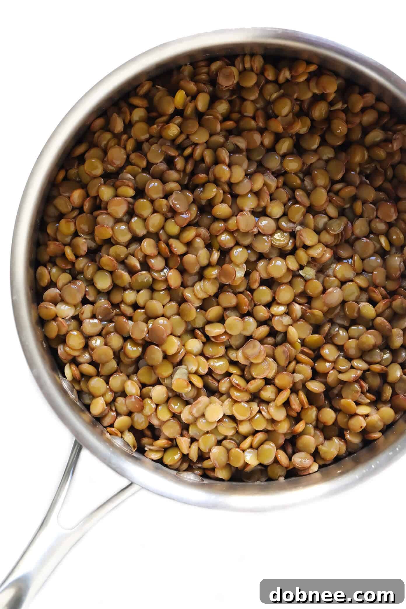How To Make Lentils (Recipe and Tips) - Ingredients and process