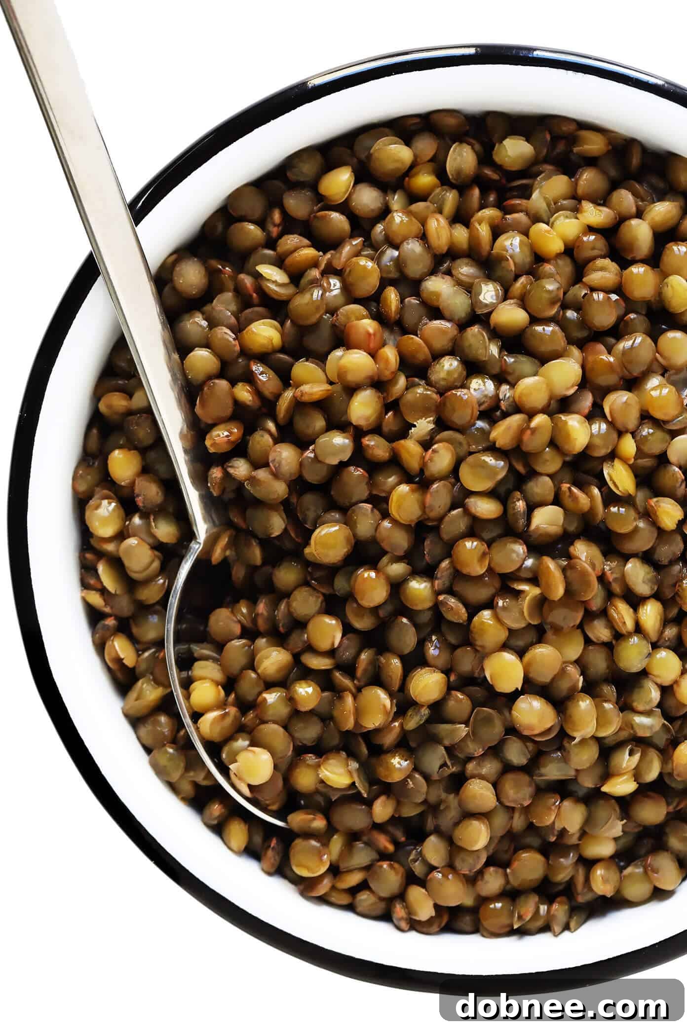 Lentils de Puy (Recipes and Tips) - Cooked lentils ready to serve