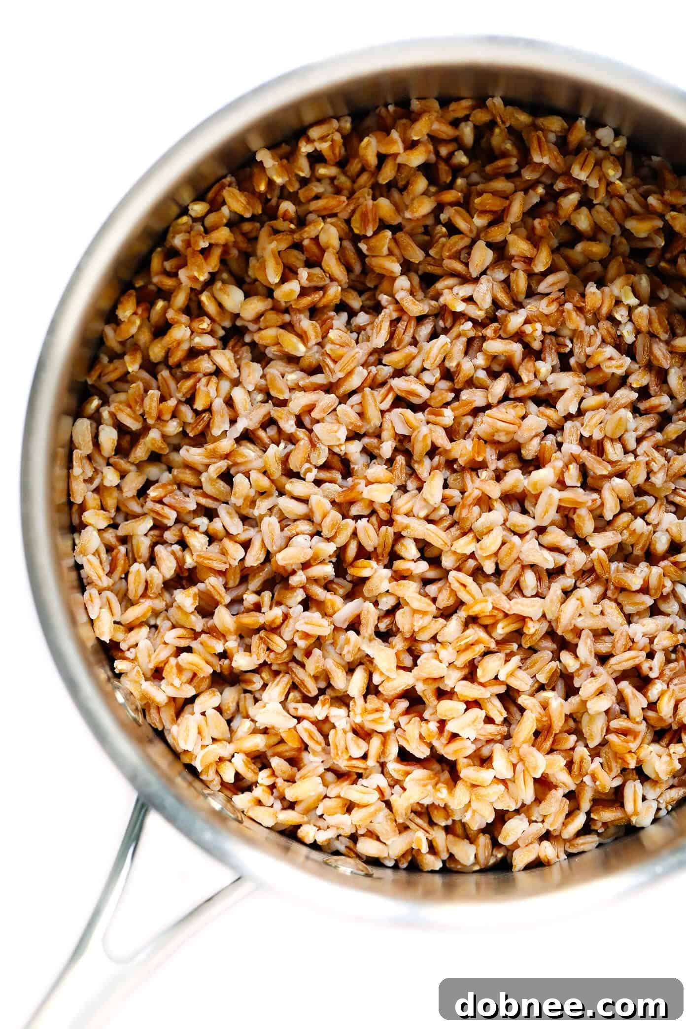 How To Cook Farro
