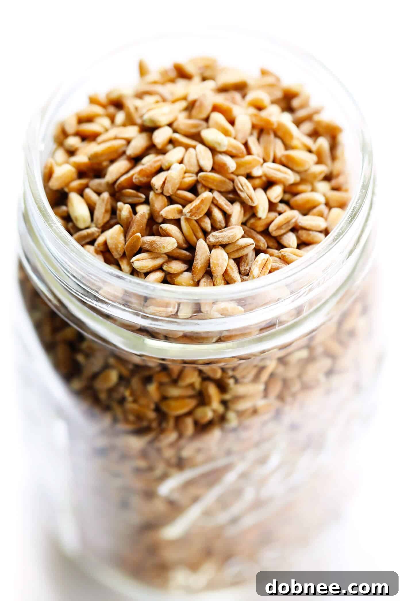 Pearled Farro Recipe