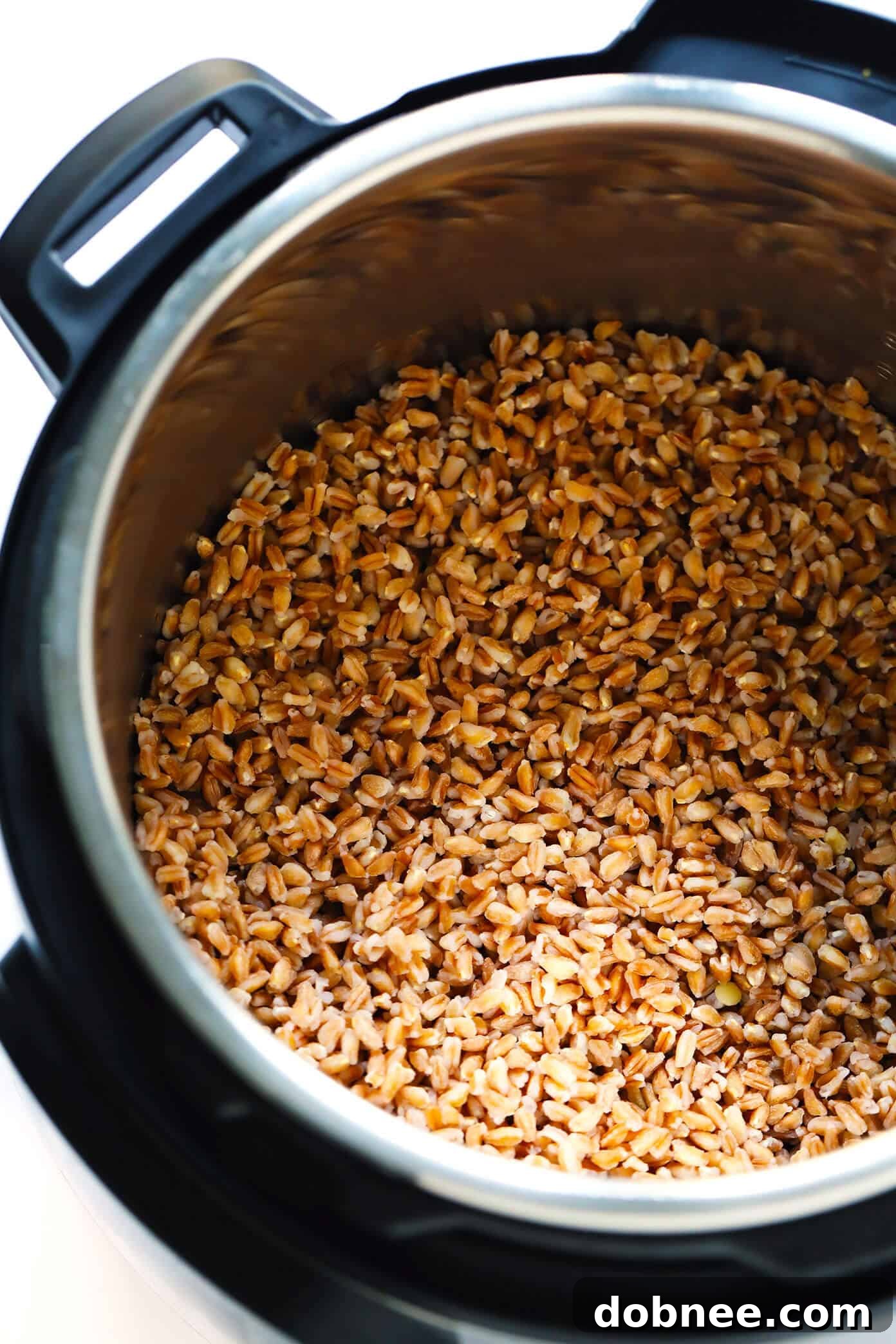 Instant Pot Farro
