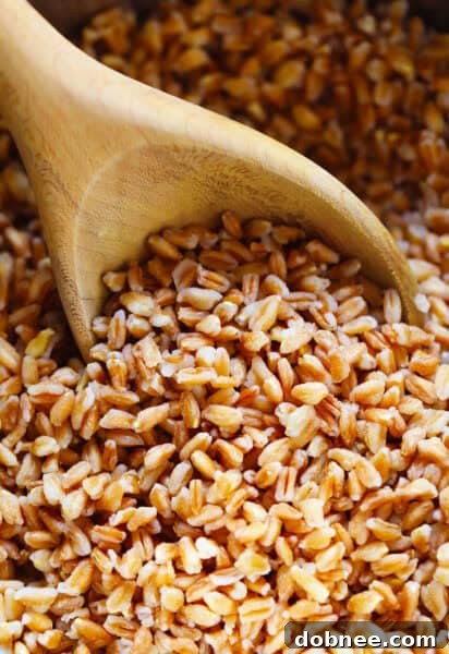 Cooked Farro in a bowl