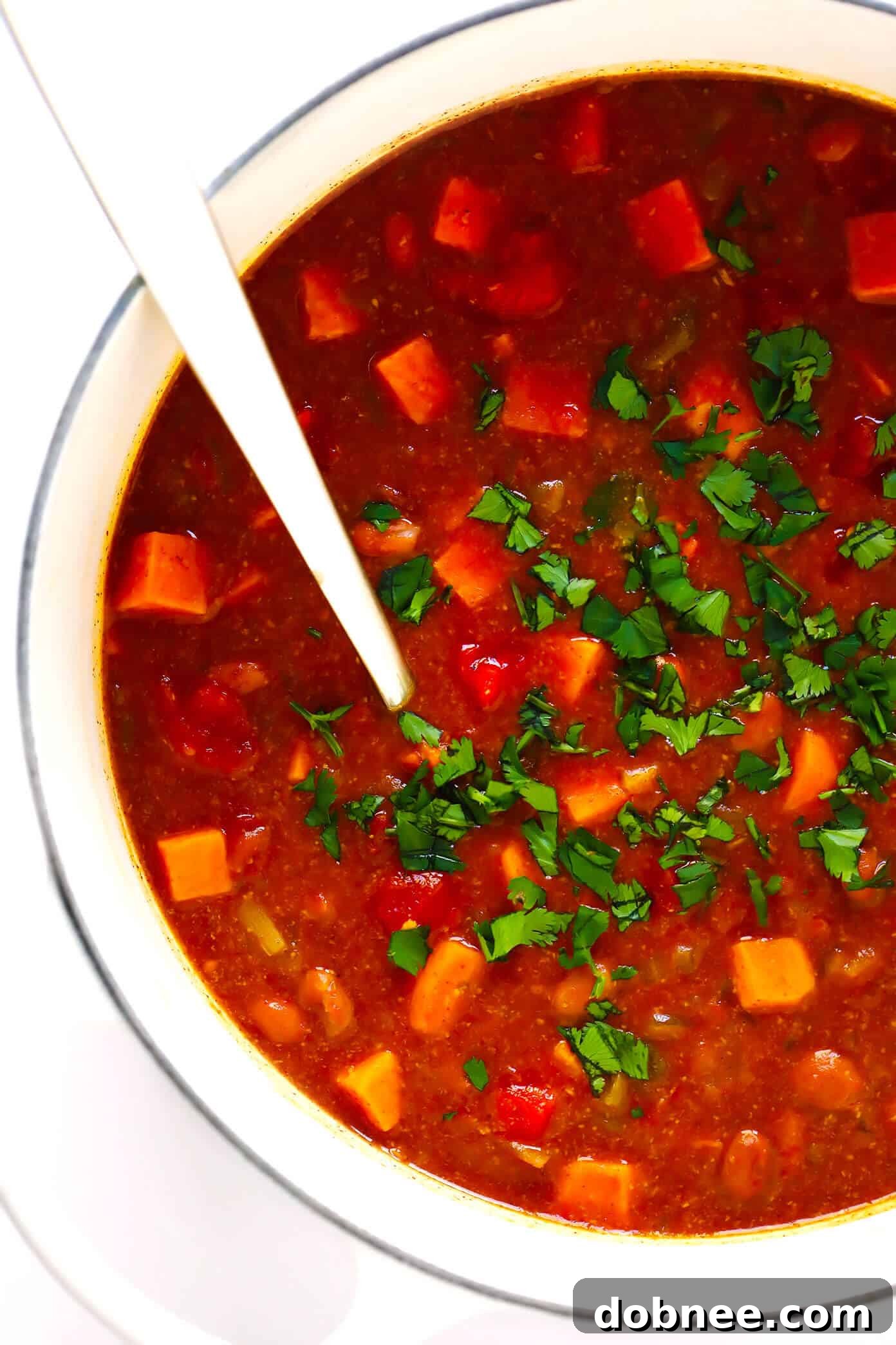 Vegetarian Sweet Potato Chili Recipe
