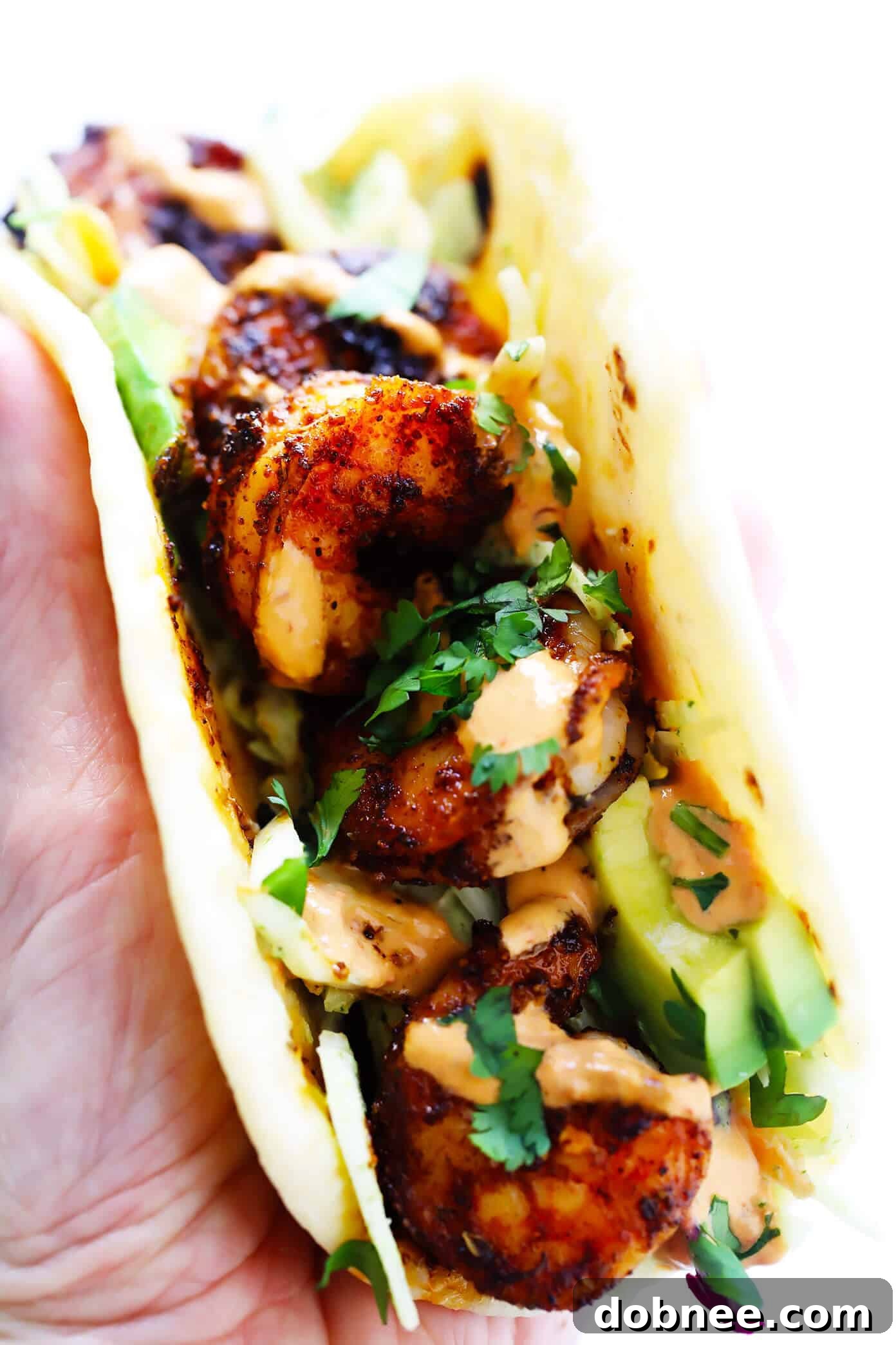 Flavorful shrimp and avocado tacos, beautifully complemented by cilantro lime slaw and chipotle crema. Shrimp Avocado Tacos with Cilantro Lime Slaw and Chipotle Crema