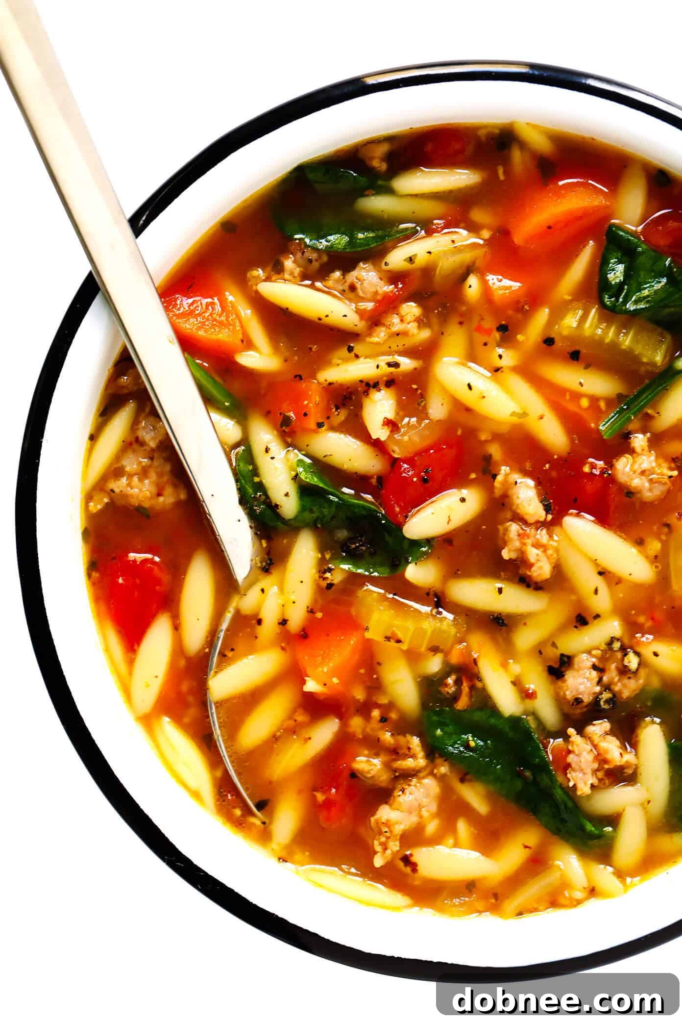 Hearty Italian Sausage, Orzo and Spinach Soup Recipe with a rich tomato broth.
