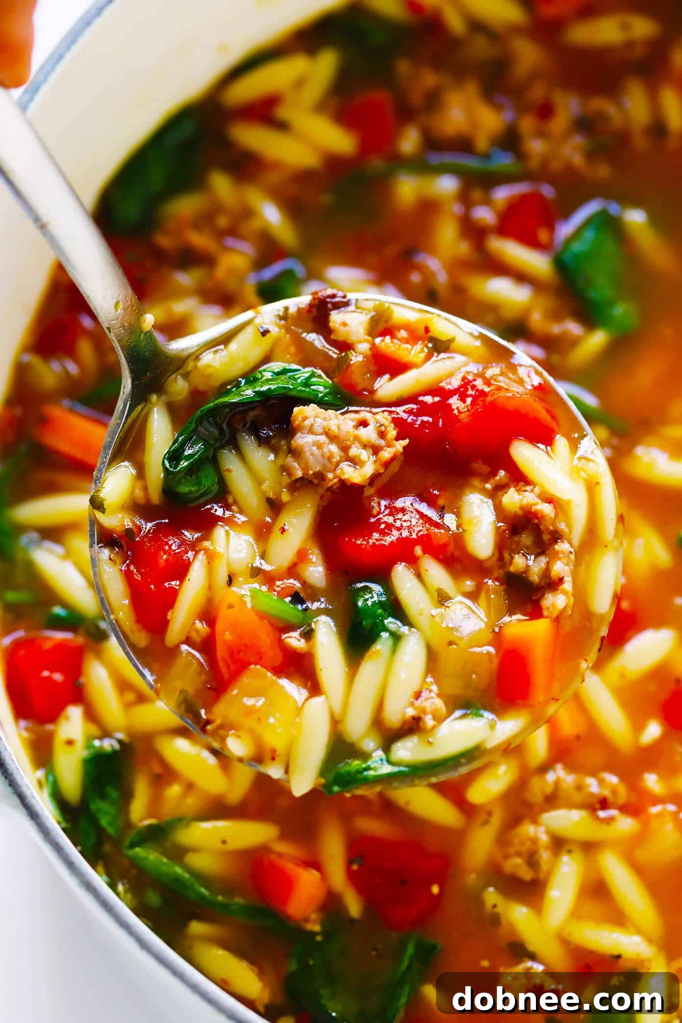 A bowl of Italian Sausage, Orzo, Spinach and Tomato Soup, showing the vibrant ingredients.
