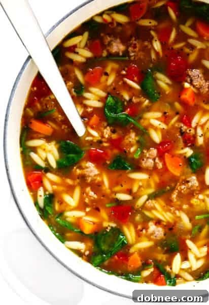 Italian Sausage and Orzo Soup Recipe - A comforting, zesty, and easy soup perfect for any meal.