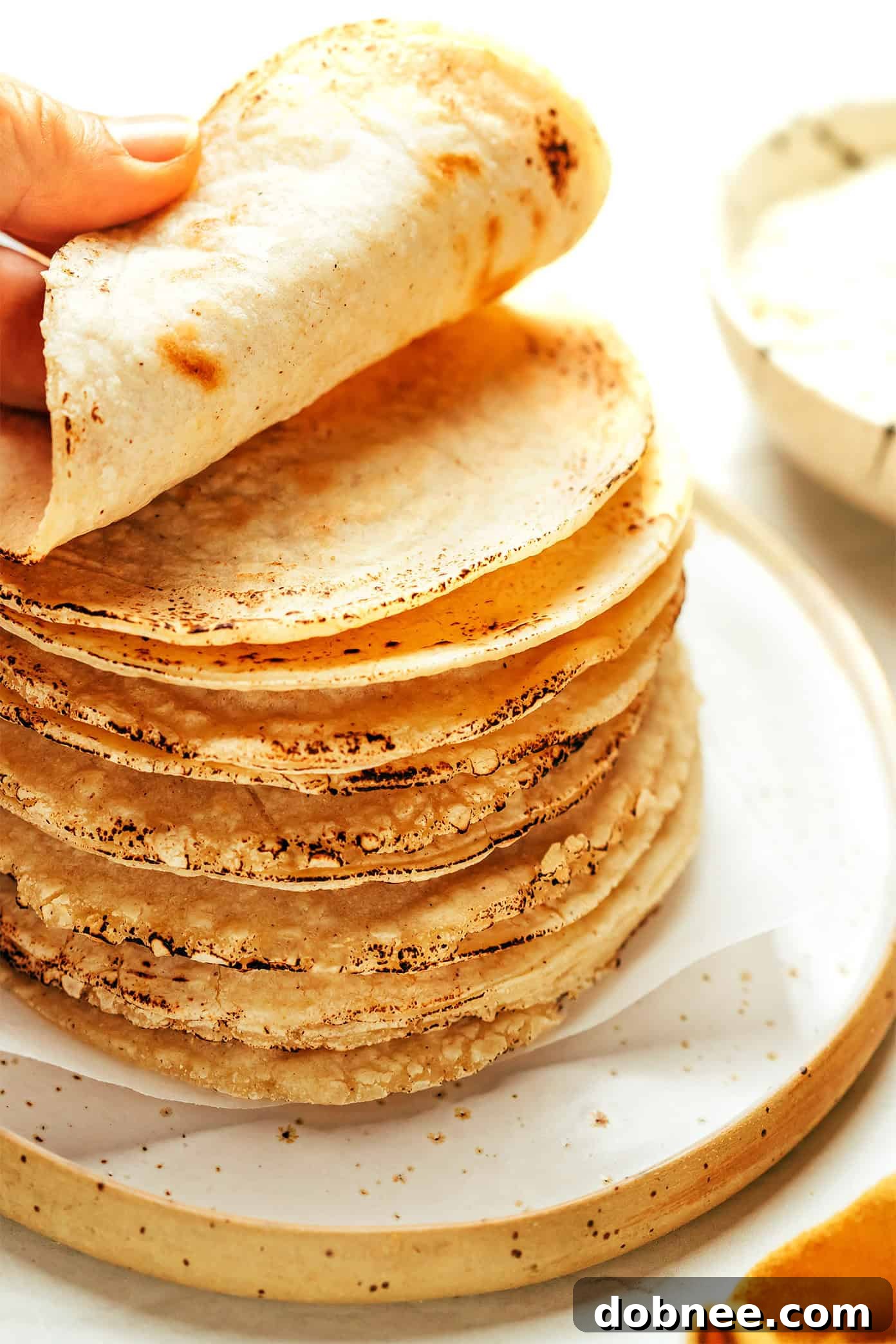 Freshly made corn tortillas stacked