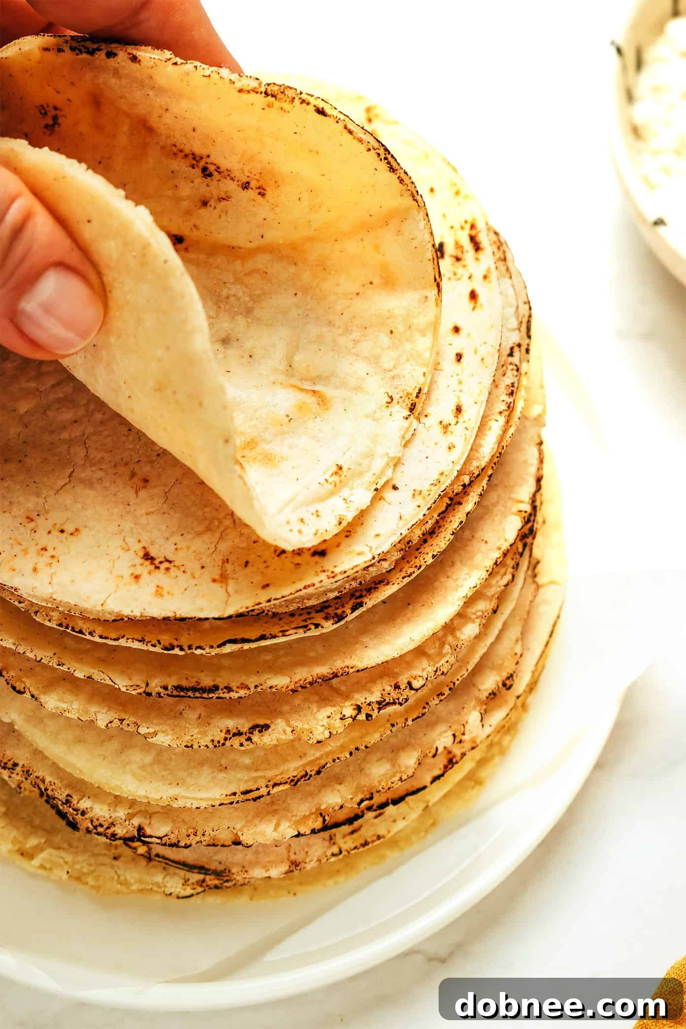 Cooked corn tortillas stacked in a kitchen towel for warmth